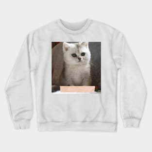 Saba cute cats Crewneck Sweatshirt